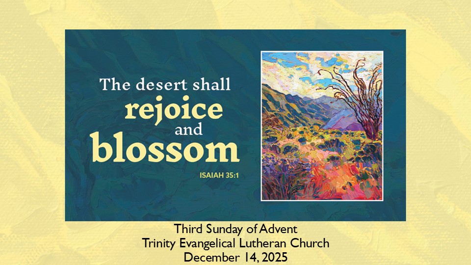 image-1014483-December 14_PPTx-d3d94.jpg